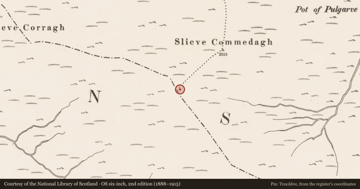 Ordnance Survey six-inch map, 2nd edition (1888–1915) covering the location of Tower, Summit of Slieve Commedagh, Mourne Mountains, Newcastle, Co Down, Mourne Mountains East, Newry, Mourne and Down, with a pin at the register's coordinates