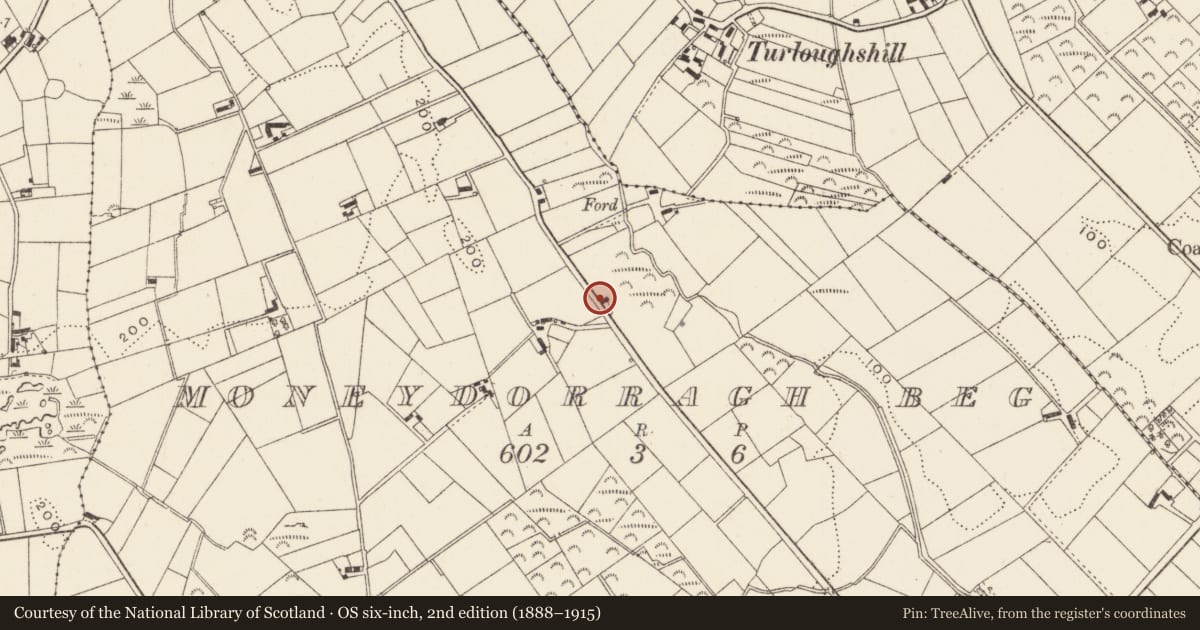 Ordnance Survey six-inch map, 2nd edition (1888–1915) covering the location of White House, Moneydorragh Beg, Newry, Mourne and Down, with a pin at the register's coordinates