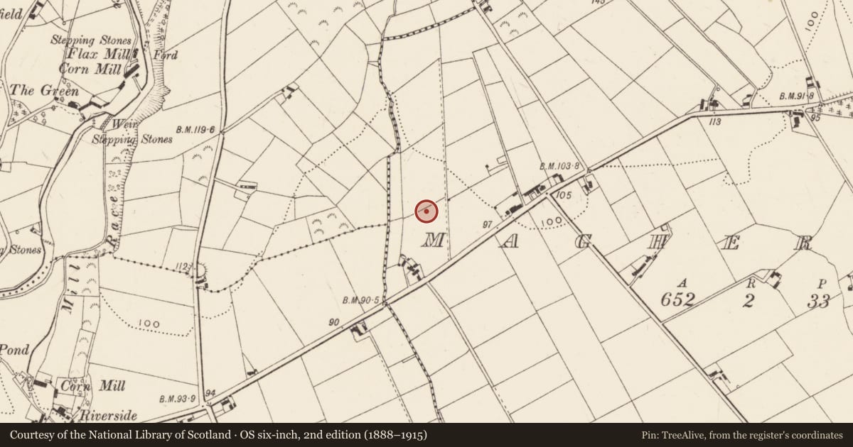 Ordnance Survey six-inch map, 2nd edition (1888–1915) covering the location of St Columban’s College (RC), Maghereagh, Newry, Mourne and Down, with a pin at the register's coordinates