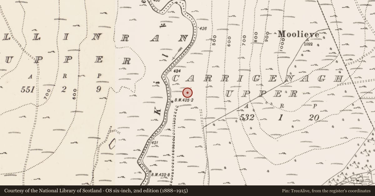Ordnance Survey six-inch map, 2nd edition (1888–1915) covering the location of Lime dosing plant, Carrigenagh Upper, Newry, Mourne and Down, with a pin at the register's coordinates