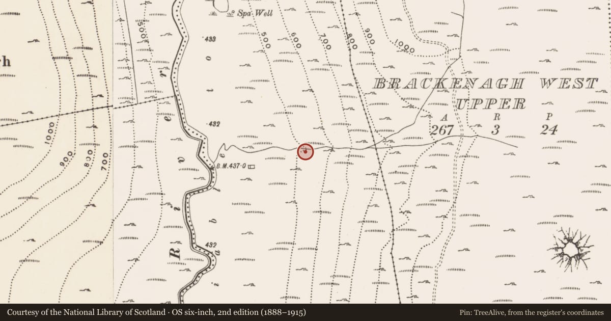 Ordnance Survey six-inch map, 2nd edition (1888–1915) covering the location of Slieve Bignian tunnel, Carrigenagh Upper, Newry, Mourne and Down, with a pin at the register's coordinates