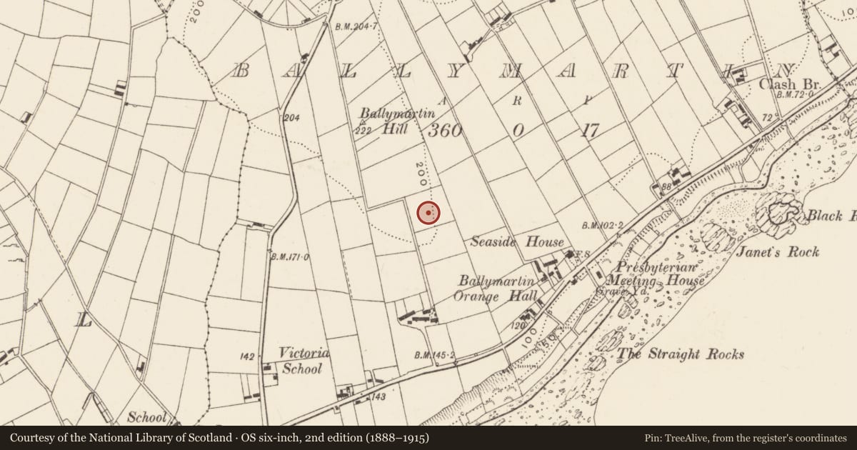 Ordnance Survey six-inch map, 2nd edition (1888–1915) covering the location of WW2 Structures, Ballymartin, Newry, Mourne and Down, with a pin at the register's coordinates