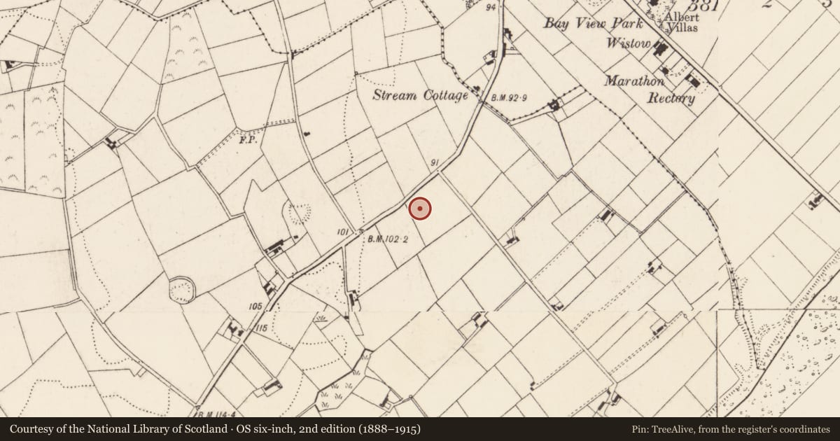 Ordnance Survey six-inch map, 2nd edition (1888–1915) covering the location of Ww Ii Structures, Derryoge, Newry, Mourne and Down, with a pin at the register's coordinates