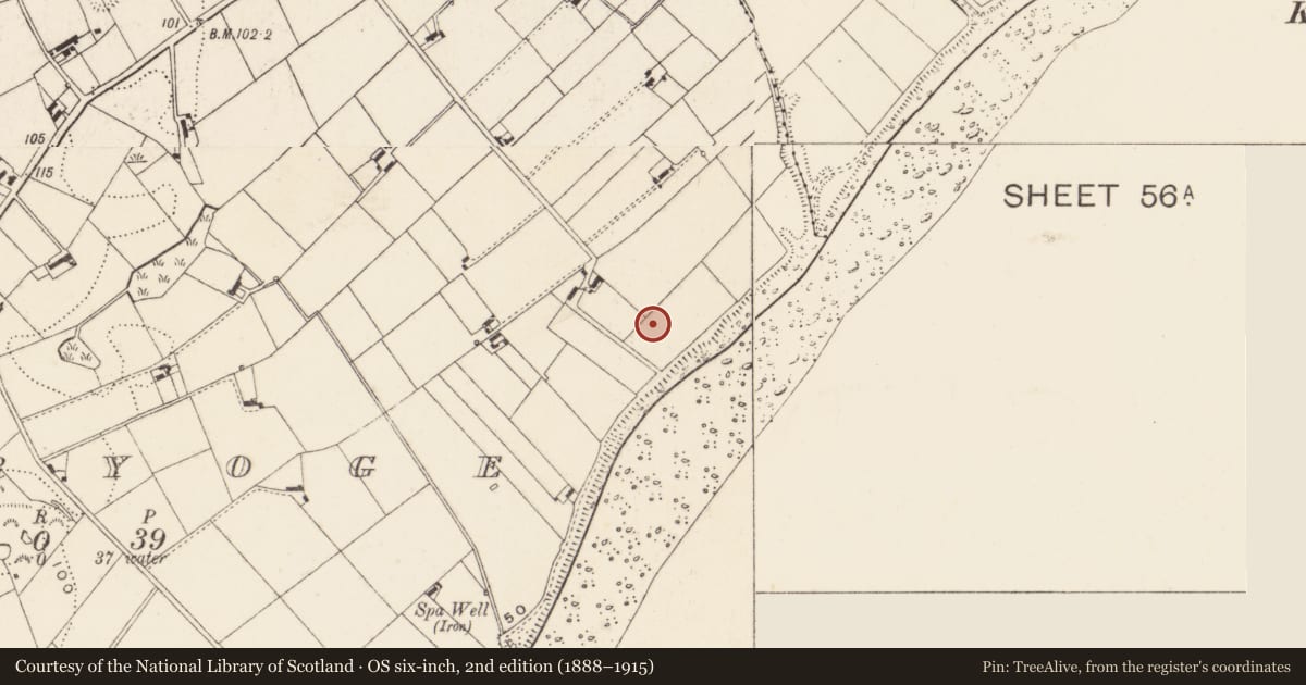 Ordnance Survey six-inch map, 2nd edition (1888–1915) covering the location of World War II Structures, Derryoge, Newry, Mourne and Down, with a pin at the register's coordinates
