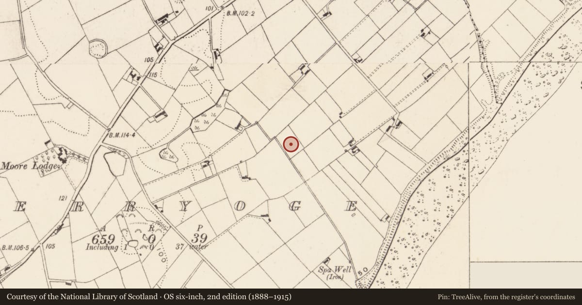Ordnance Survey six-inch map, 2nd edition (1888–1915) covering the location of Ww Ii structures, Derryoge, Newry, Mourne and Down, with a pin at the register's coordinates
