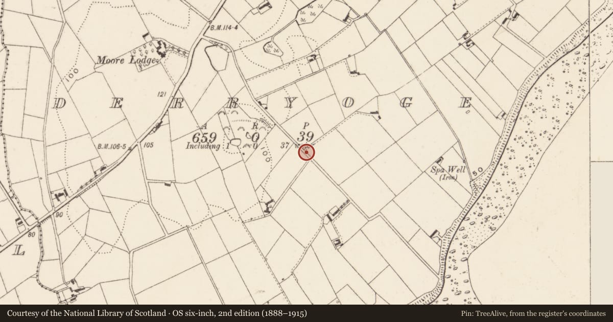 Ordnance Survey six-inch map, 2nd edition (1888–1915) covering the location of Picket post, Derryoge, Newry, Mourne and Down, with a pin at the register's coordinates