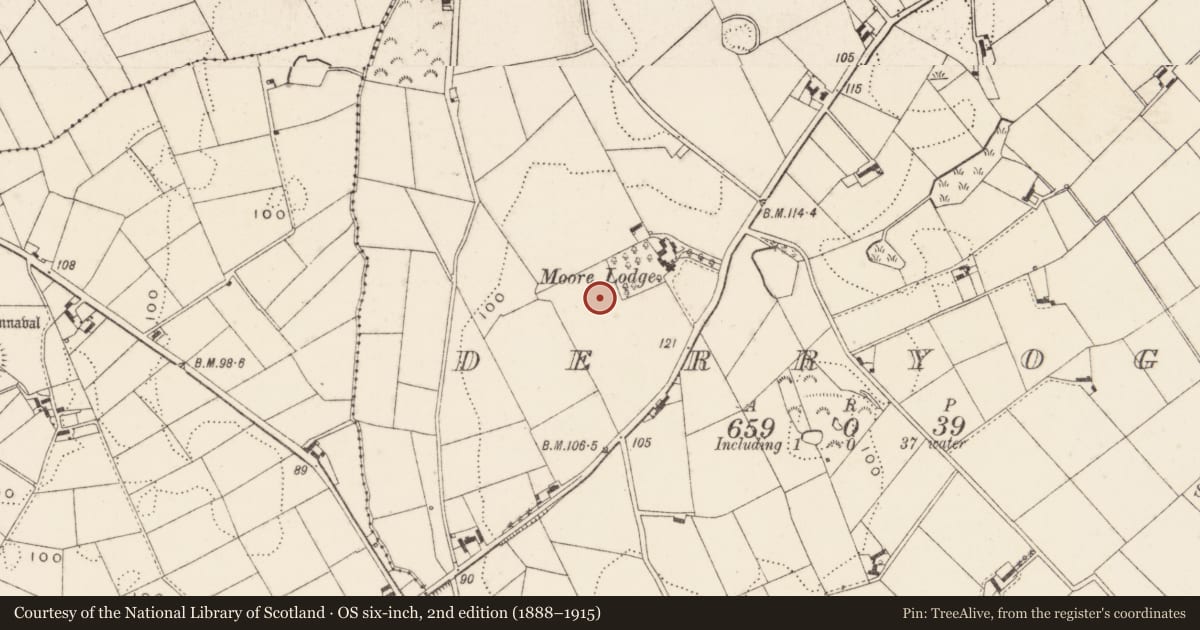 Ordnance Survey six-inch map, 2nd edition (1888–1915) covering the location of Ww Ii Structure, Derryoge, Newry, Mourne and Down, with a pin at the register's coordinates