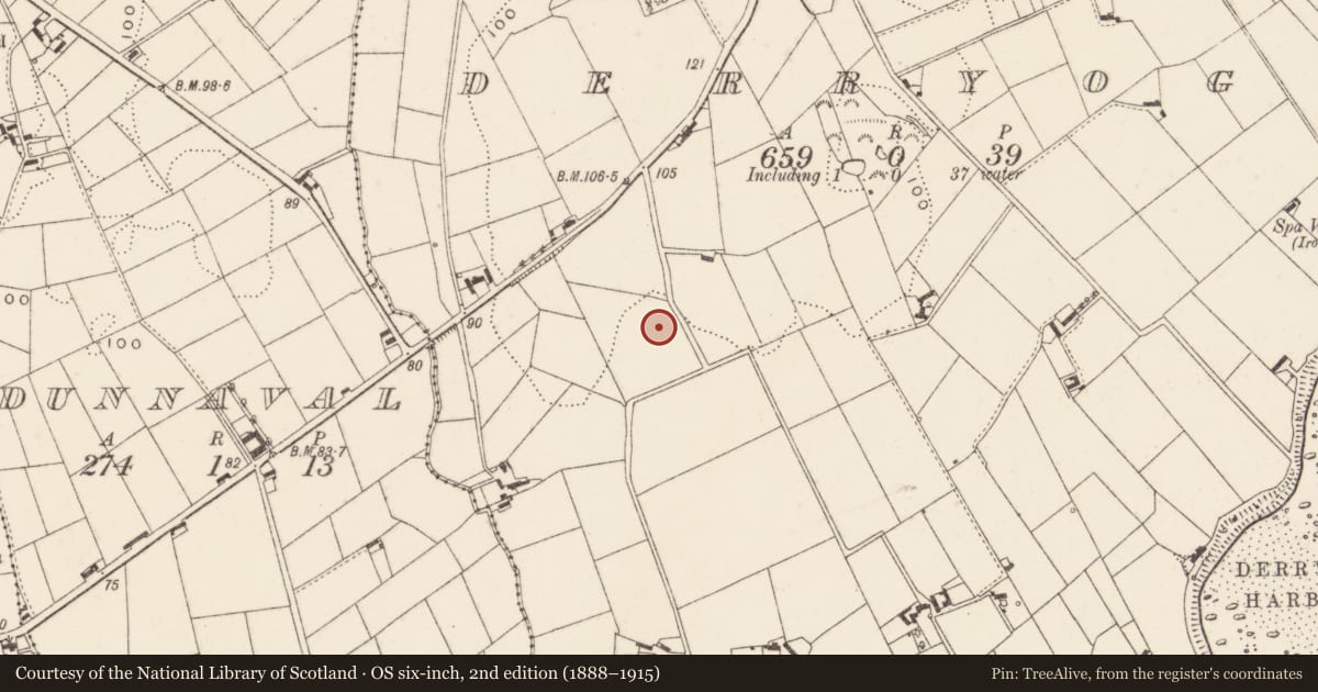 Ordnance Survey six-inch map, 2nd edition (1888–1915) covering the location of Ww Ii Structures, Derryoge, Newry, Mourne and Down, with a pin at the register's coordinates