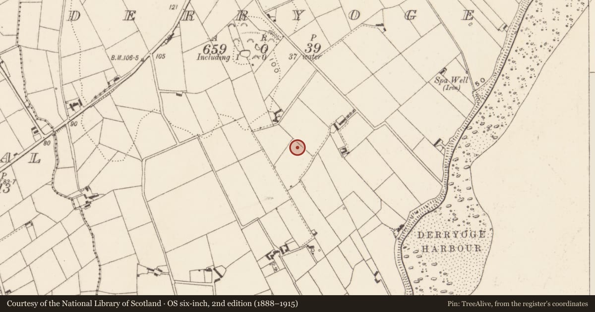 Ordnance Survey six-inch map, 2nd edition (1888–1915) covering the location of World War II Structures, Derryoge, Newry, Mourne and Down, with a pin at the register's coordinates
