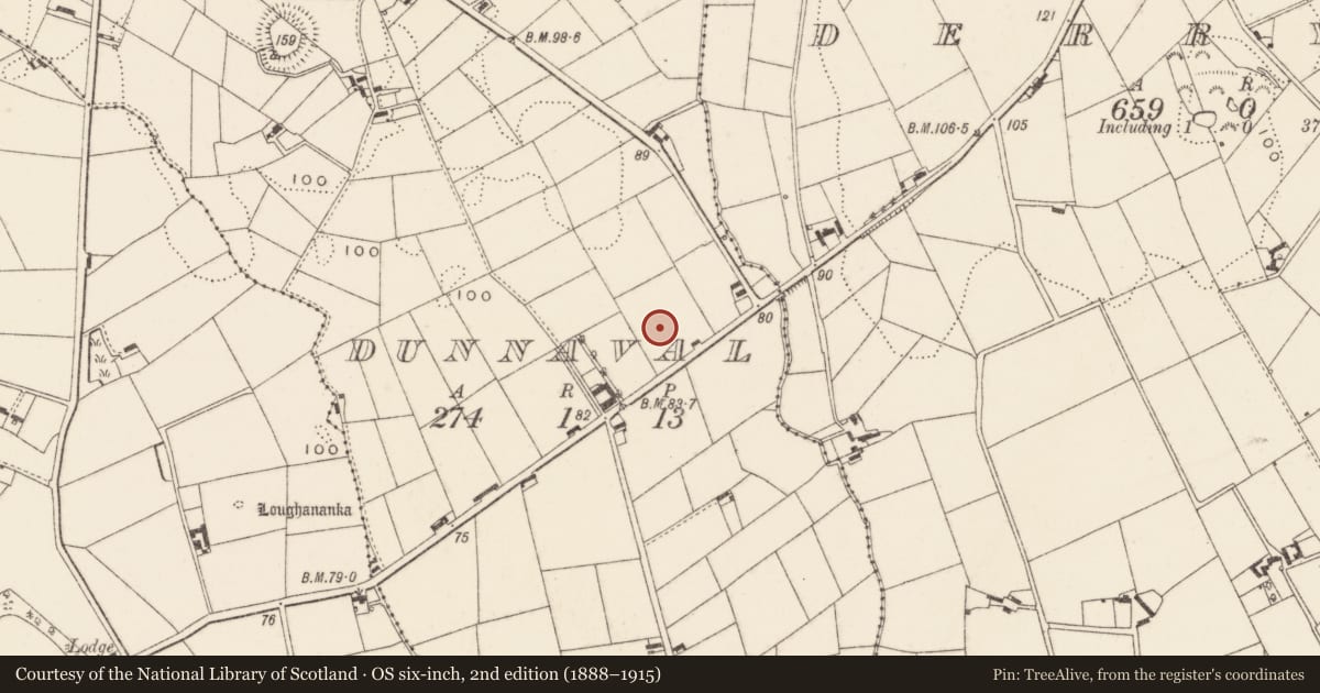 Ordnance Survey six-inch map, 2nd edition (1888–1915) covering the location of World War II Structures, Dunnaval, Newry, Mourne and Down, with a pin at the register's coordinates