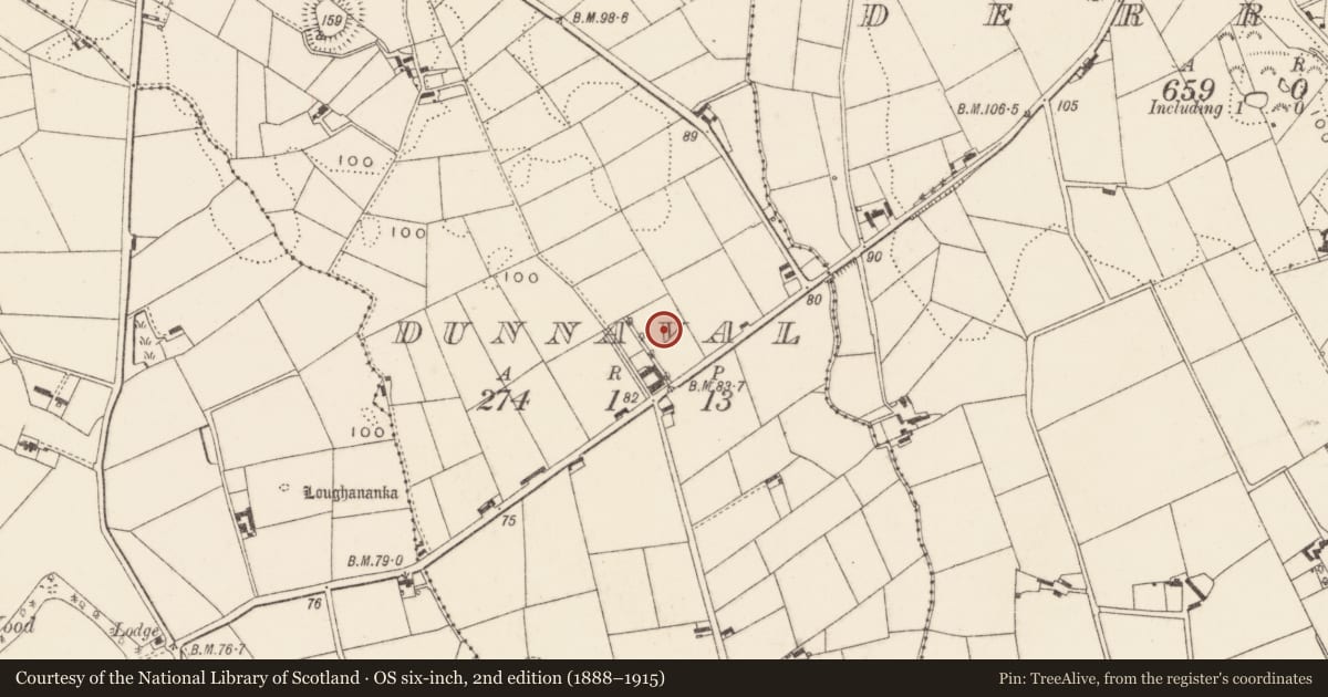 Ordnance Survey six-inch map, 2nd edition (1888–1915) covering the location of World War II Structures, Dunnaval, Newry, Mourne and Down, with a pin at the register's coordinates