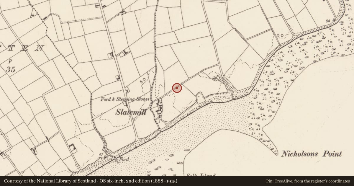 Ordnance Survey six-inch map, 2nd edition (1888–1915) covering the location of World War II Structures, Derryoge, Newry, Mourne and Down, with a pin at the register's coordinates