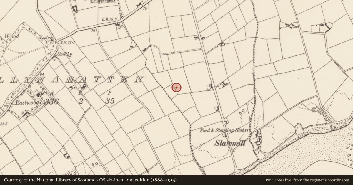 Ordnance Survey six-inch map, 2nd edition (1888–1915) covering the location of Ww Ii Watch office (control tower ), Dunnaval, Newry, Mourne and Down, with a pin at the register's coordinates