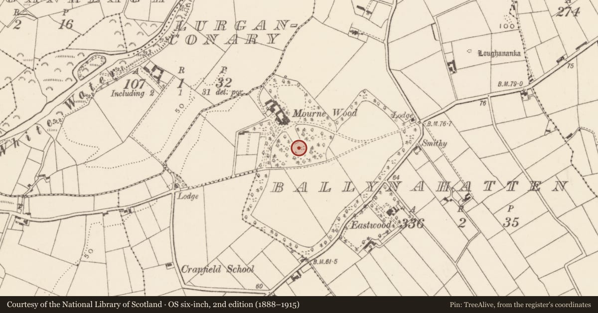 Ordnance Survey six-inch map, 2nd edition (1888–1915) covering the location of WW2 Administration site, Ballynahatten, Newry, Mourne and Down, with a pin at the register's coordinates