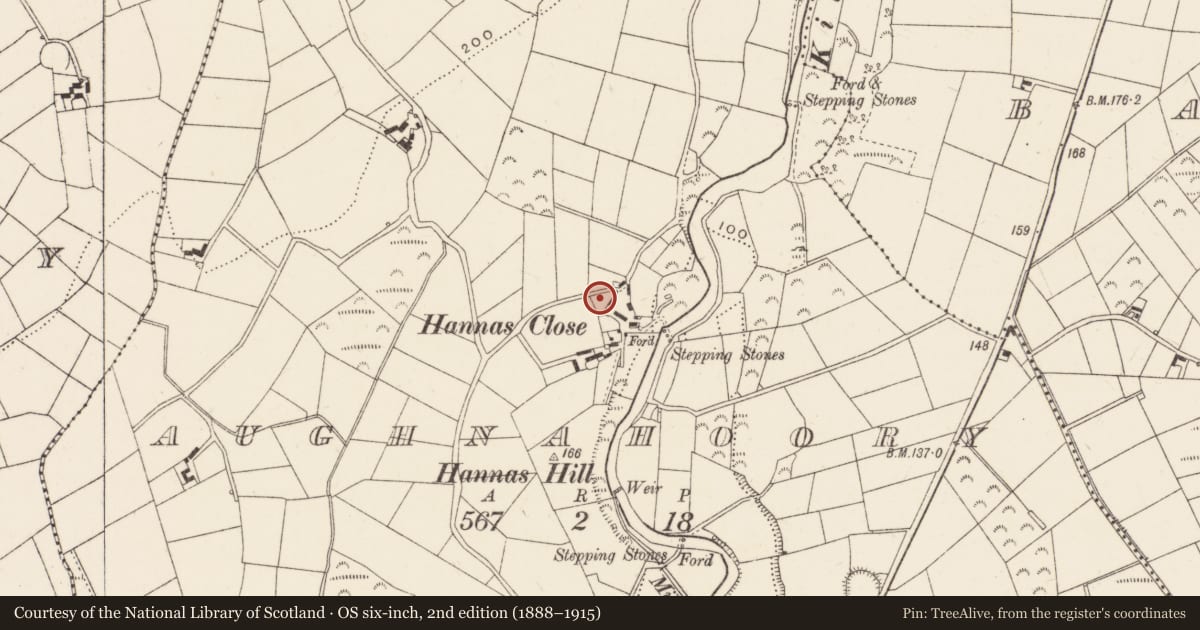 Ordnance Survey six-inch map, 2nd edition (1888–1915) covering the location of "William John's", Aughnahoory, Newry, Mourne and Down, with a pin at the register's coordinates