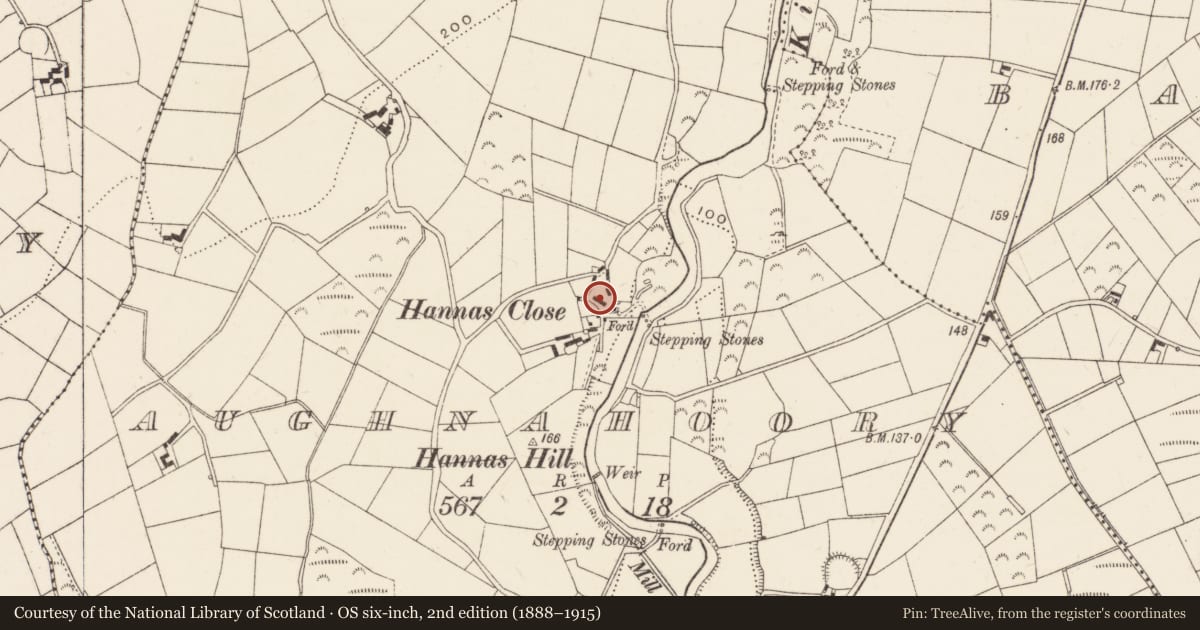 Ordnance Survey six-inch map, 2nd edition (1888–1915) covering the location of "Office", Aughnahoory, Newry, Mourne and Down, with a pin at the register's coordinates