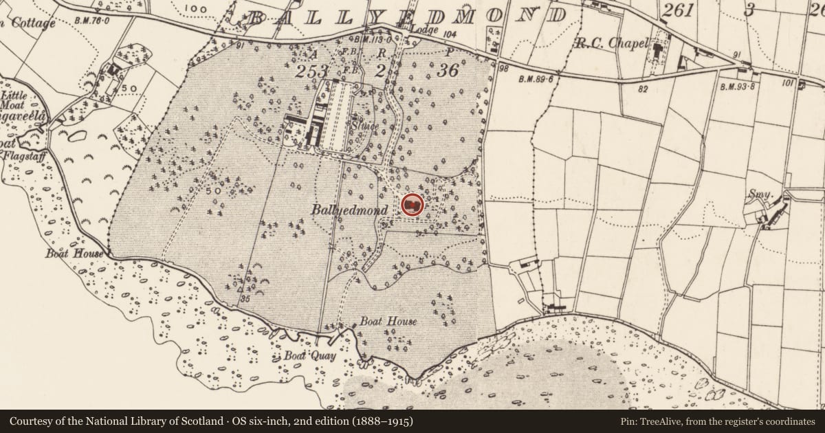 Ordnance Survey six-inch map, 2nd edition (1888–1915) covering the location of Ballyedmond Castle, Newry, Mourne and Down, with a pin at the register's coordinates