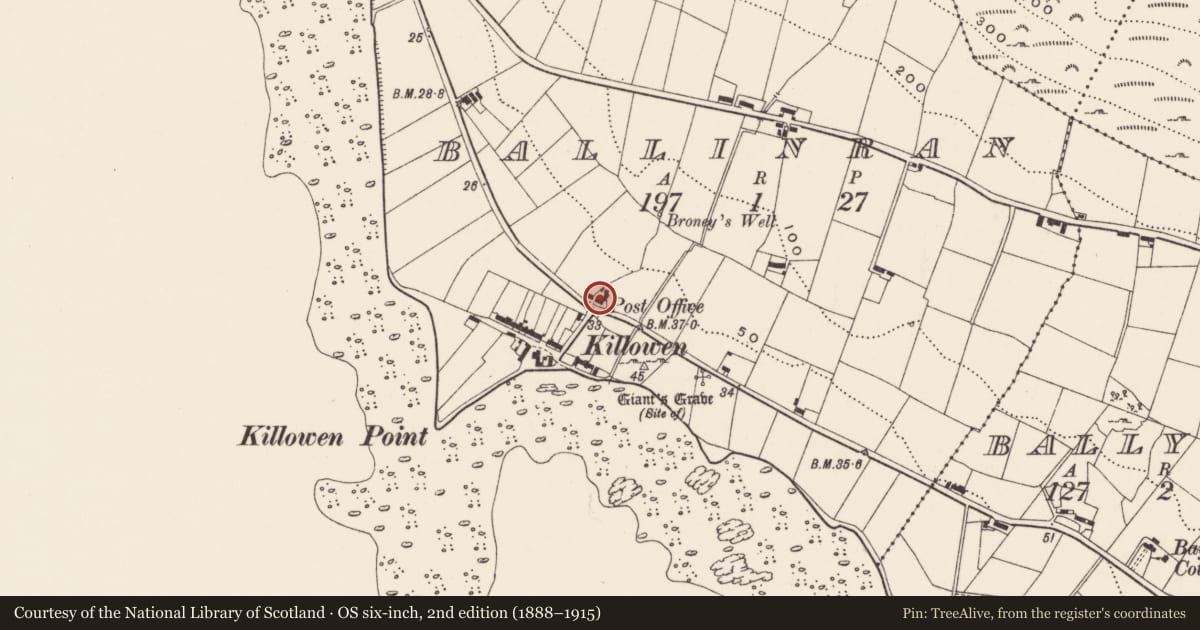 Ordnance Survey six-inch map, 2nd edition (1888–1915) covering the location of 40 Killowen Road, Ballinran, Newry, Mourne and Down, with a pin at the register's coordinates
