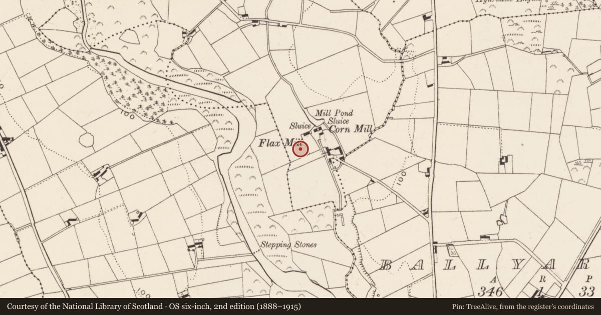 Ordnance Survey six-inch map, 2nd edition (1888–1915) covering the location of Belgian Flax Mill, Ballymagart, Newry, Mourne and Down, with a pin at the register's coordinates