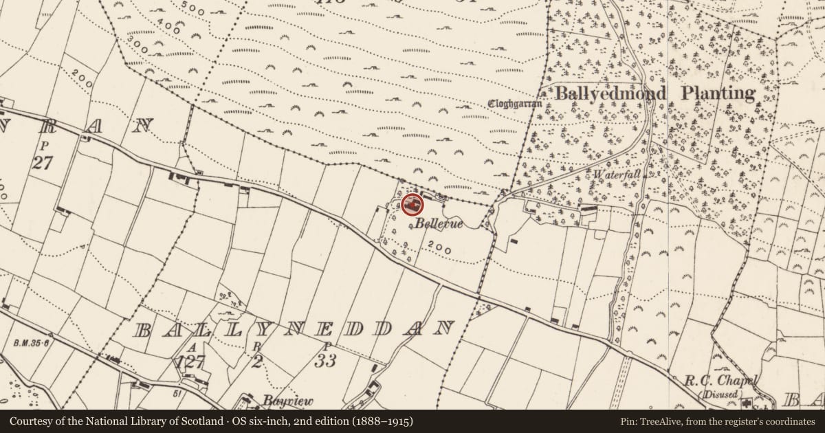 Ordnance Survey six-inch map, 2nd edition (1888–1915) covering the location of Bellevue, Ballyneddan, Newry, Mourne and Down, with a pin at the register's coordinates