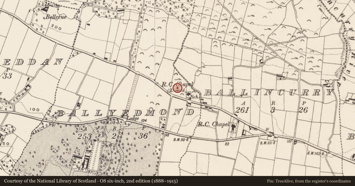 Ordnance Survey six-inch map, 2nd edition (1888–1915) covering the location of 84 Killowen Old Road, Ballyedmond, Newry, Mourne and Down, with a pin at the register's coordinates