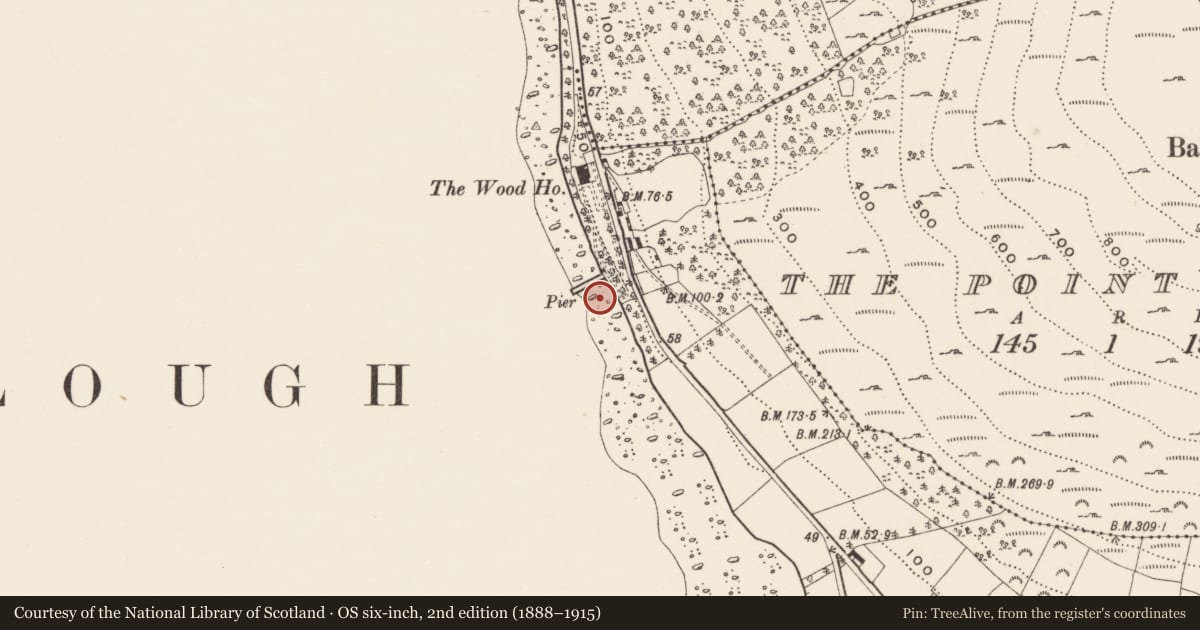 Ordnance Survey six-inch map, 2nd edition (1888–1915) covering the location of Milestone, Ballinran, with a pin at the register's coordinates