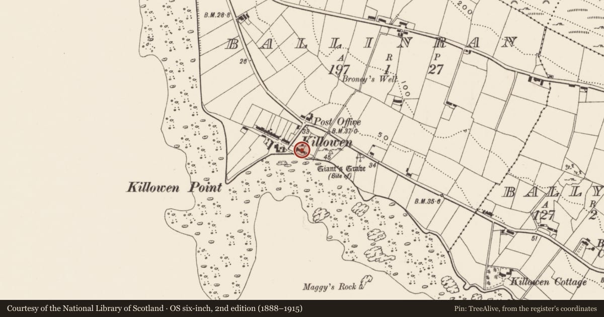 Ordnance Survey six-inch map, 2nd edition (1888–1915) covering the location of 8 Killowen Village, Ballinran, Newry, Mourne and Down, with a pin at the register's coordinates