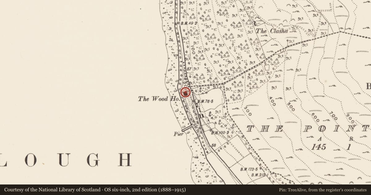 Ordnance Survey six-inch map, 2nd edition (1888–1915) covering the location of The Wood House, Killowen, Newry, Mourne and Down, with a pin at the register's coordinates