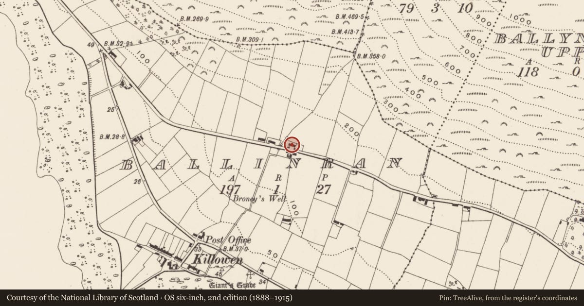 Ordnance Survey six-inch map, 2nd edition (1888–1915) covering the location of 34 Killowen Old Road, Ballinran, Newry, Mourne and Down, with a pin at the register's coordinates