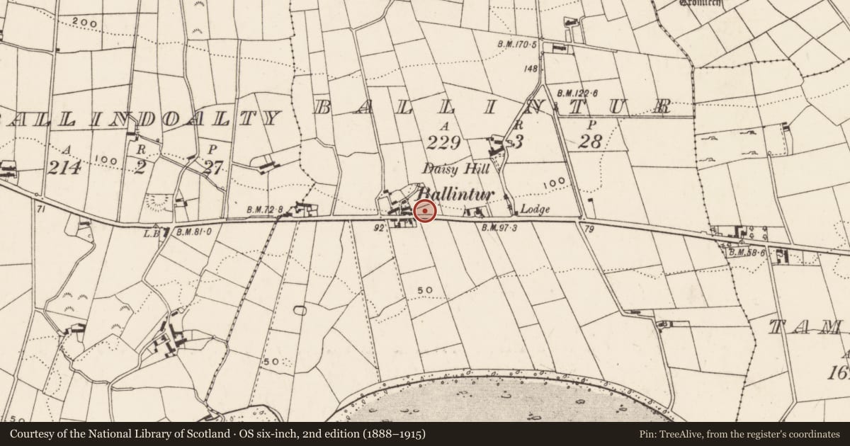 Ordnance Survey six-inch map, 2nd edition (1888–1915) covering the location of Telephone Kiosk at 170 Killowen Road, Rostrevor, Ballintur, Newry, Mourne and Down, with a pin at the register's coordinates
