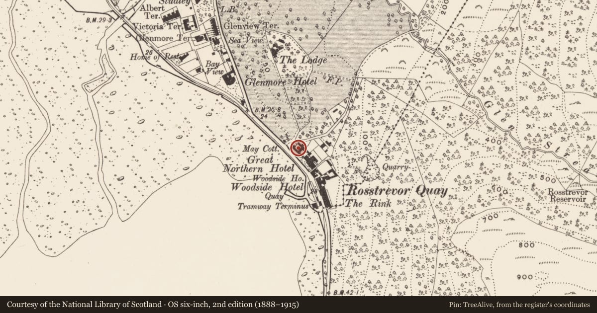 Ordnance Survey six-inch map, 2nd edition (1888–1915) covering the location of May Cottage, Newry, Mourne and Down, with a pin at the register's coordinates