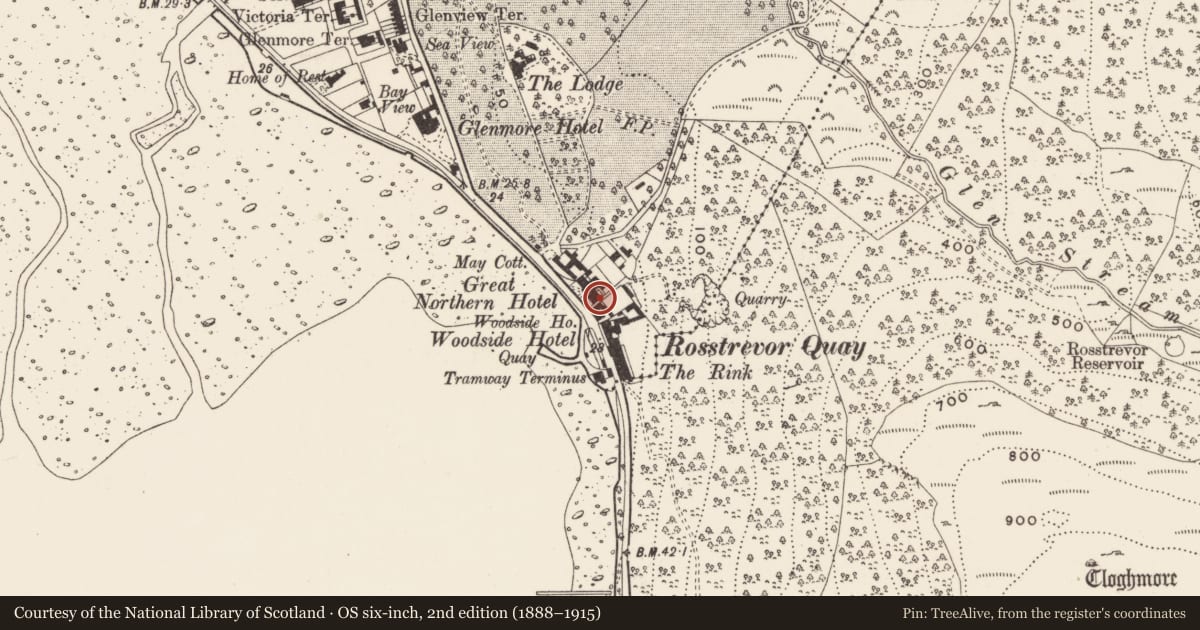 Ordnance Survey six-inch map, 2nd edition (1888–1915) covering the location of Great Northern Hotel, Newry, Mourne and Down, with a pin at the register's coordinates