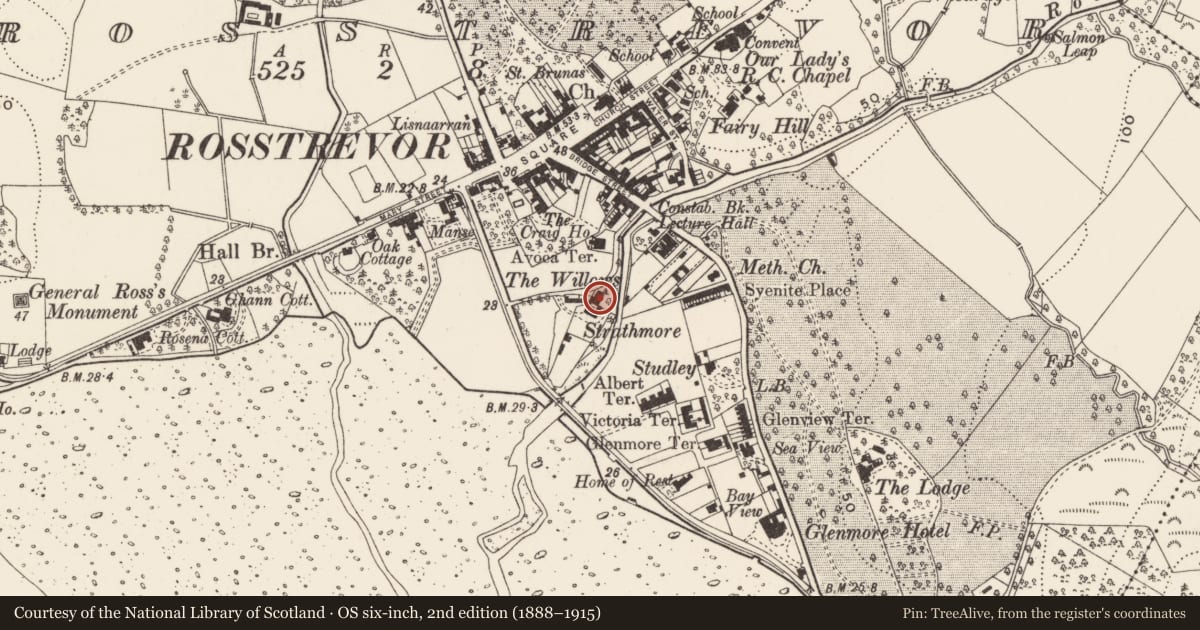 Ordnance Survey six-inch map, 2nd edition (1888–1915) covering the location of The Willows, Newry, Mourne and Down, with a pin at the register's coordinates