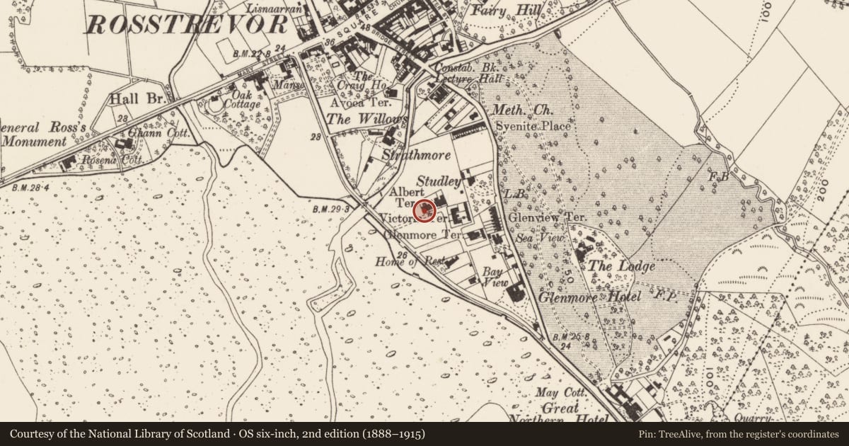 Ordnance Survey six-inch map, 2nd edition (1888–1915) covering the location of 14 Victoria Square, Newry, Mourne and Down, with a pin at the register's coordinates