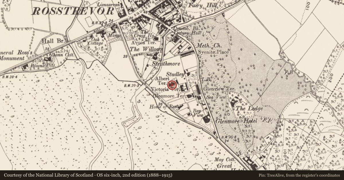 Ordnance Survey six-inch map, 2nd edition (1888–1915) covering the location of 16 Victoria Square, Newry, Mourne and Down, with a pin at the register's coordinates
