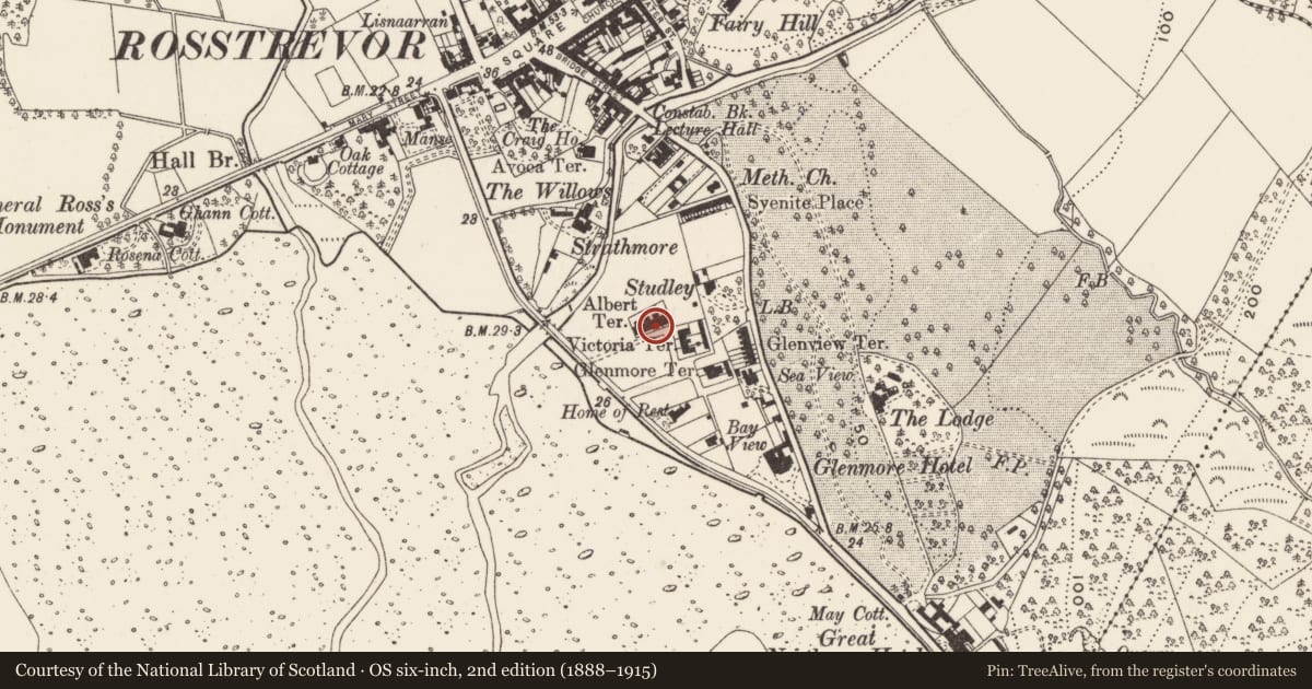 Ordnance Survey six-inch map, 2nd edition (1888–1915) covering the location of 18 Victoria Square, Newry, Mourne and Down, with a pin at the register's coordinates
