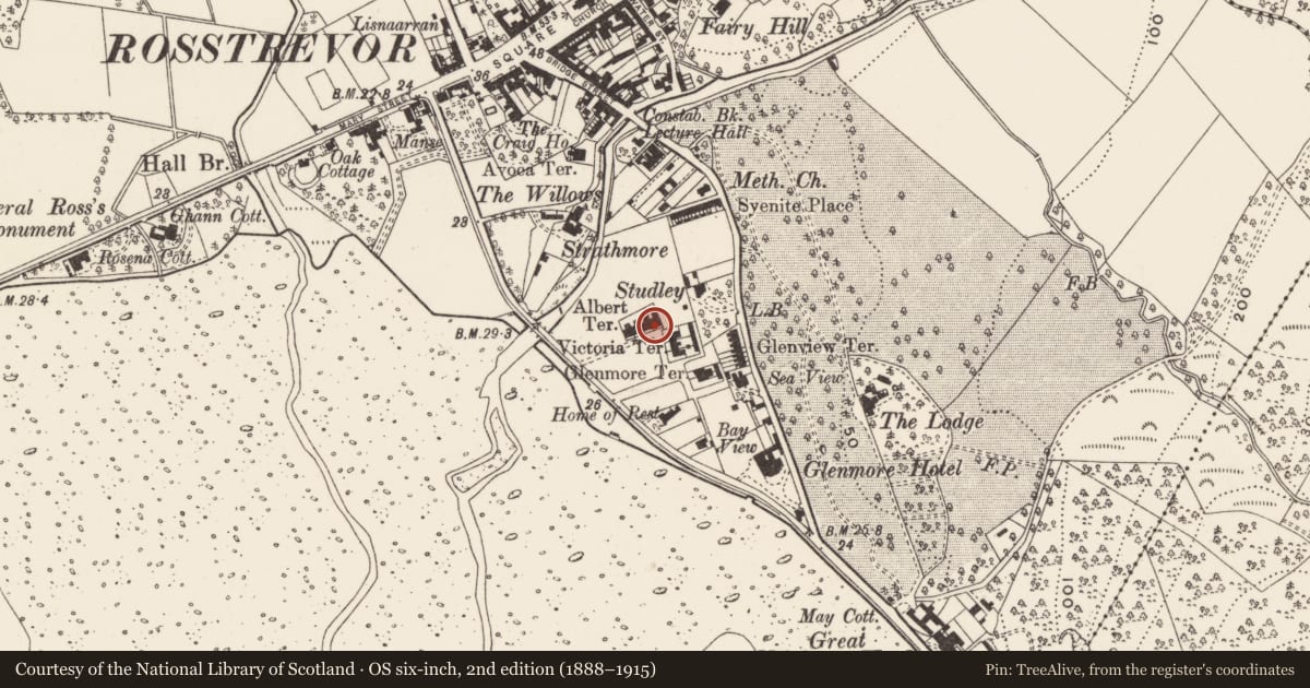 Ordnance Survey six-inch map, 2nd edition (1888–1915) covering the location of 20 Victoria Square, Newry, Mourne and Down, with a pin at the register's coordinates