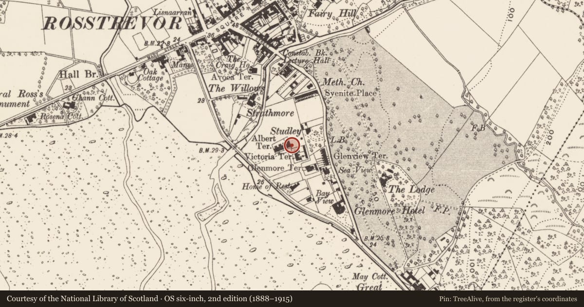 Ordnance Survey six-inch map, 2nd edition (1888–1915) covering the location of 22 Victoria Square, Rostrevor, Newry, Mourne and Down, with a pin at the register's coordinates
