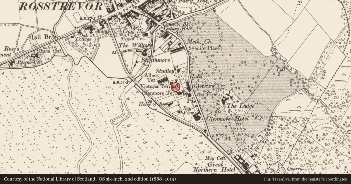 Ordnance Survey six-inch map, 2nd edition (1888–1915) covering the location of 38 Victoria Square, Newry, Mourne and Down, with a pin at the register's coordinates