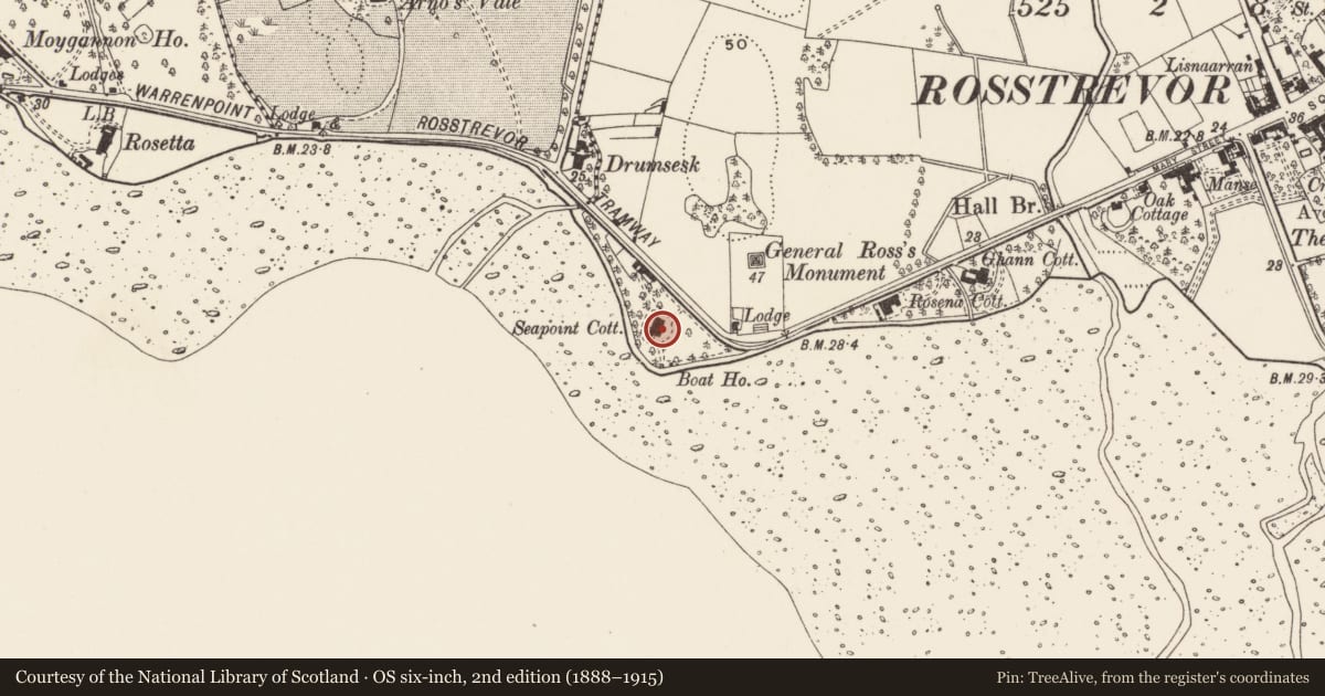Ordnance Survey six-inch map, 2nd edition (1888–1915) covering the location of Seapoint Cottage, Newry, Mourne and Down, with a pin at the register's coordinates