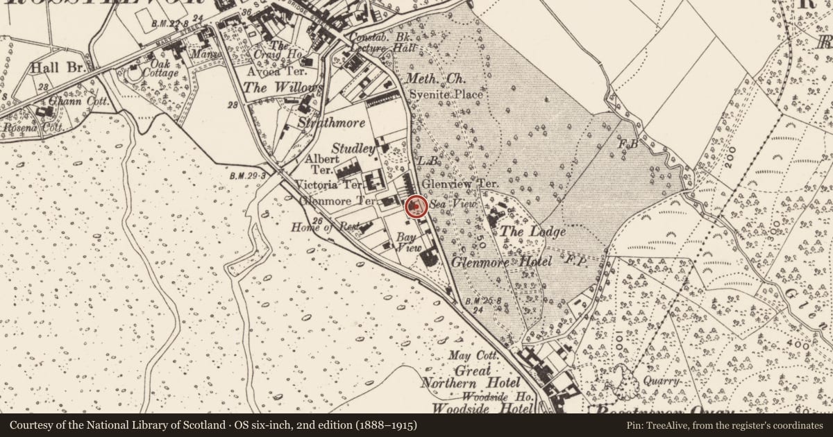 Ordnance Survey six-inch map, 2nd edition (1888–1915) covering the location of 21 Cloughmore Road Rostrevor Newry BT34 3EN, Newry, Mourne and Down, with a pin at the register's coordinates
