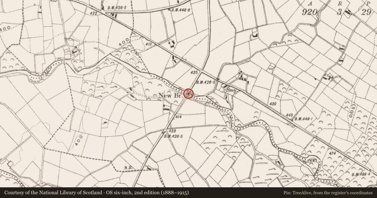 Ordnance Survey six-inch map, 2nd edition (1888–1915) covering the location of New Bridge, Sandbank Rd, Hilltown, Newry, Co Down BT34 5XX, Ballynanny/Goward, Newry, Mourne and Down, with a pin at the register's coordinates