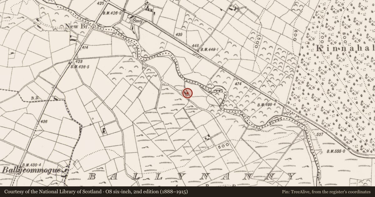 Ordnance Survey six-inch map, 2nd edition (1888–1915) covering the location of Farmhouse up lane off Sandbank Rd, Ballynanny, Newry, Mourne and Down, with a pin at the register's coordinates