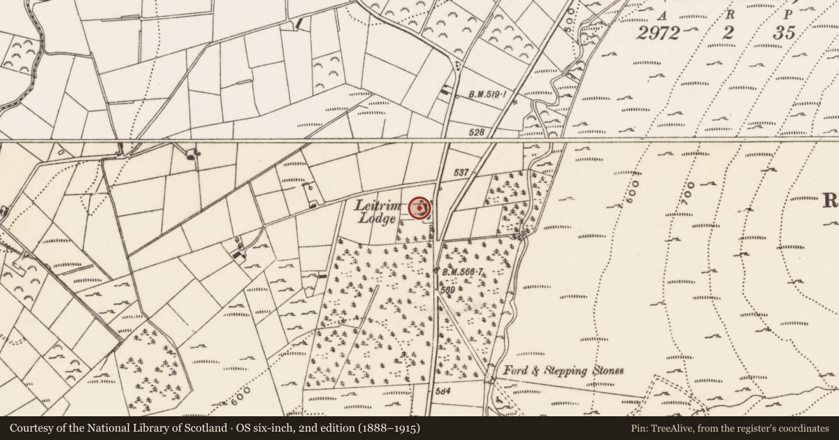 Ordnance Survey six-inch map, 2nd edition (1888–1915) covering the location of Leitrim Lodge, Newry, Mourne and Down, with a pin at the register's coordinates