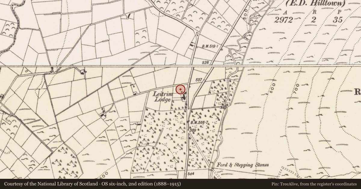 Ordnance Survey six-inch map, 2nd edition (1888–1915) covering the location of Kennels at Leitrim Lodge, Newry, Mourne and Down, with a pin at the register's coordinates