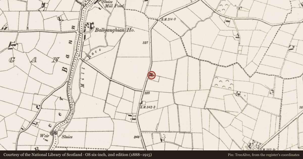 Ordnance Survey six-inch map, 2nd edition (1888–1915) covering the location of 11 Ballycoshone Road, Ballyaughian, Newry, Mourne and Down, with a pin at the register's coordinates