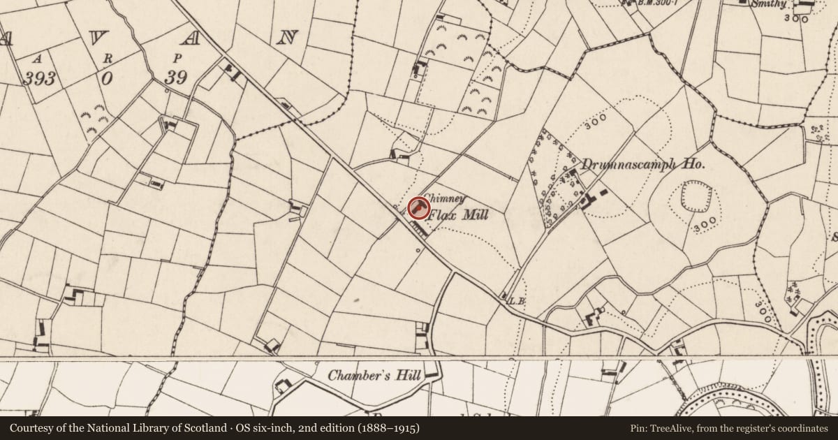 Ordnance Survey six-inch map, 2nd edition (1888–1915) covering the location of Drumnascamph Mill, Newry, Mourne and Down, with a pin at the register's coordinates