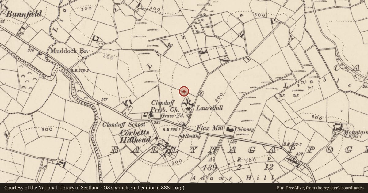 Ordnance Survey six-inch map, 2nd edition (1888–1915) covering the location of Disused kiln near 29 Bannfield Rd, Ballynagappoge, Newry, Mourne and Down, with a pin at the register's coordinates