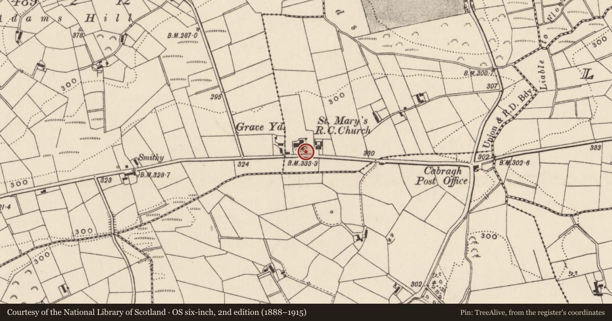 Ordnance Survey six-inch map, 2nd edition (1888–1915) covering the location of McMullan Mausoleum, Cabragh, Newry, Mourne and Down, with a pin at the register's coordinates