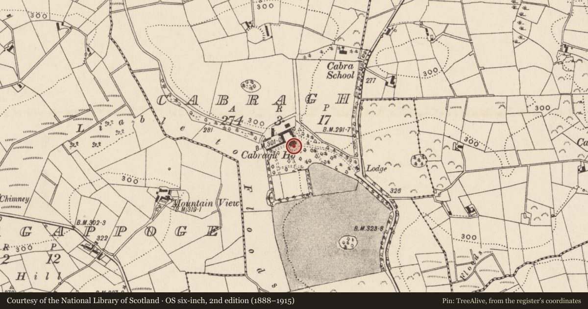 Ordnance Survey six-inch map, 2nd edition (1888–1915) covering the location of Cabra House, Cabragh, Newry, Mourne and Down, with a pin at the register's coordinates